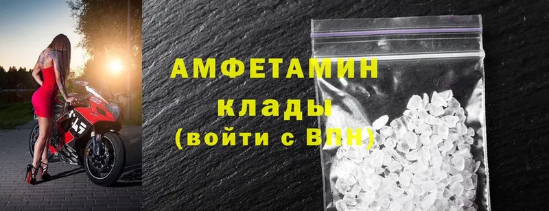 купить наркоту  omg онион  Amphetamine Premium  Тара 